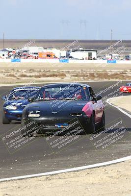 media/Jan-25-2025-CalClub SCCA (Sat) [[03c98a249e]]/Race 4/